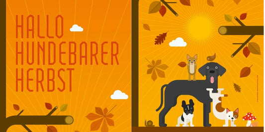 So schön wird der Herbst: Unsere Lieblingsprodukte im Oktober 🍂