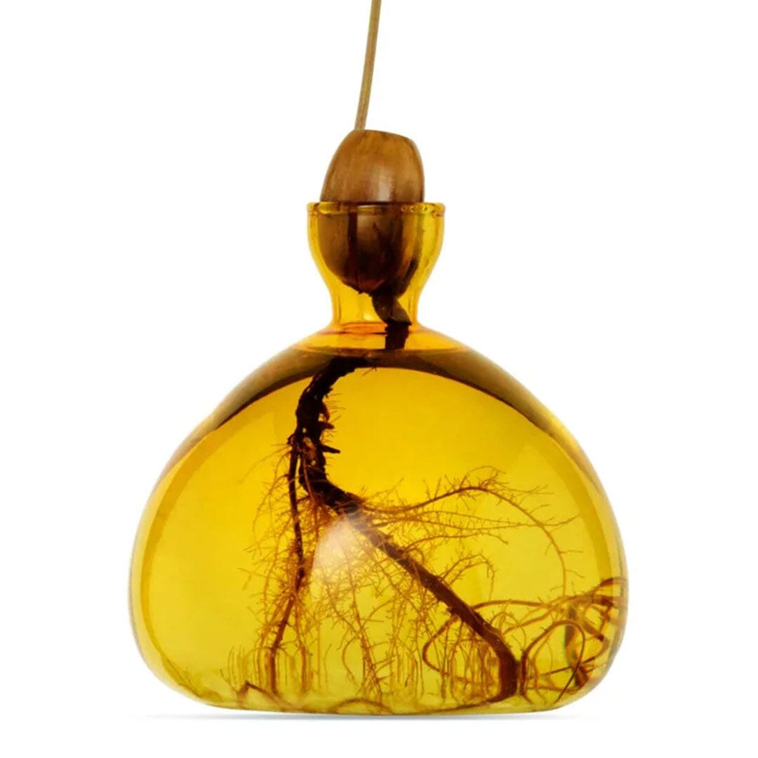 Yellow glass pendant light with an acorn-shaped wooden cap and visible root-like design inside.